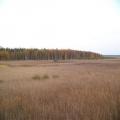 Weite Seenlandschaft (100_0952.JPG) Riga Lettland Baltikum